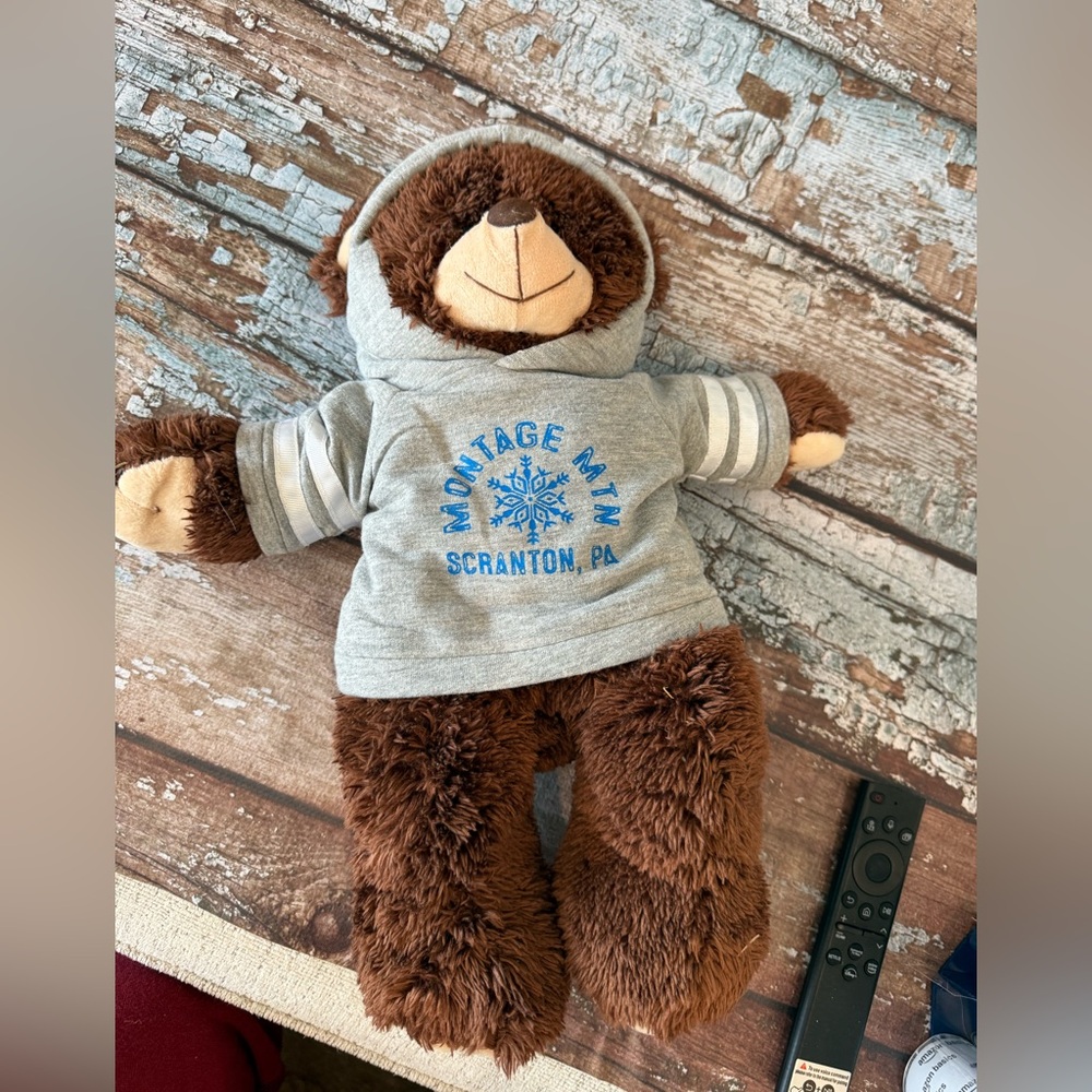 Montage Mountain Scranton PA Gray Hoodie Bear Plush